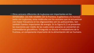 • Otros azúcares diferentes de la glucosa son importantes en los
vertebrados. Los más notables son la fructosa, la galactosa y la manosa.
Junto con la glucosa, estas moléculas son los azúcares que se encuentran
con mayor frecuencia en los oligosacáridos yen los polisacáridos. Son
también fuentes importantes de energía. En la Figura 8.15 se presentan
las reacciones por medio de las cuales estos azúcares se convierten en
intermediarios glucolíticos. Enseguida se discute el metabolismo de la
fructosa, un componente importante de la alimentación del ser humano.
 