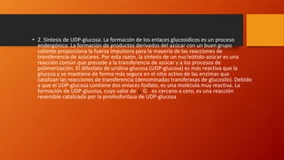 • 2. Síntesis de UDP-glucosa. La formación de los enlaces glucosídicos es un proceso
endergónico. La formación de productos derivados del azúcar con un buen grupo
saliente proporciona la fuerza impulsora para la mayoría de las reacciones de
transferencia de azúcares. Por esta razón, la síntesis de un nuc!eótido-azúcar es una
reacción común que precede a la transferencia de azúcar y a los procesos de
polimerización. El difosfato de uridina-glucosa (UDP-glucosa) es más reactiva que la
glucosa y se mantiene de forma más segura en el sitio activo de las enzimas que
catalizan las reacciones de transferencia (denominadas transferasas de glucosilo). Debido
a que el UDP-glucosa contiene dos enlaces fosfato, es una molécula muy reactiva. La
formación de UDP-glucosa, cuyo valor de ⧋ G ° es cercano a cero, es una reacción
reversible catalizada por la pirofosforilasa de UDP-glucosa
 