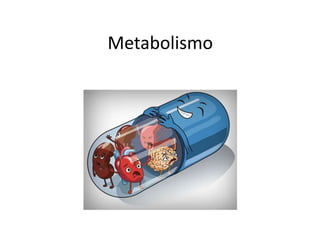 Metabolismo
 