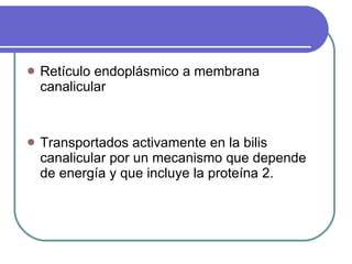 Retículo endoplásmico a membrana canalicular Transportados activamente en la bilis canalicular por un mecanismo que depende de energía y que incluye la proteína 2. 