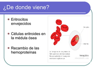 ¿De donde viene? Eritrocitos envejecidos Células eritroides en la médula ósea  Recambio de las hemoproteínas  