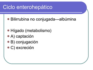 Ciclo enterohepático Bilirrubina no conjugada---albúmina Hígado (metabolismo) A) captación B) conjugación C) excreción 