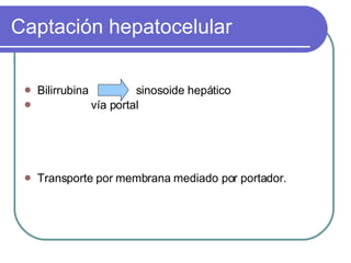 Captación hepatocelular Bilirrubina  sinosoide hepático  vía portal Transporte por membrana mediado por portador.  