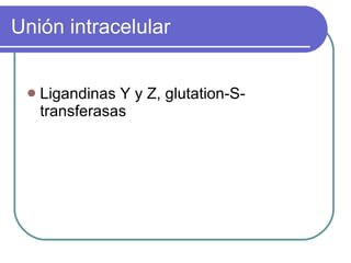 Unión intracelular Ligandinas Y y Z, glutation-S-transferasas 