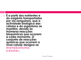 Metabolismo Celular