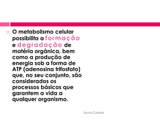 Metabolismo Celular