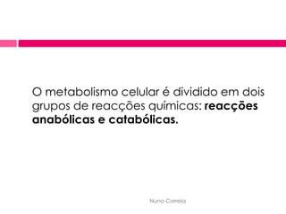 Metabolismo Celular
