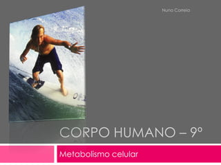 Nuno Correia




CORPO HUMANO – 9º
Metabolismo celular
 