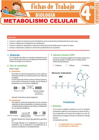 a Conocer y explicar la importancia del metabolismo como característica fundamental de los seres vivos.
a Conocer y diferenciar el anabolismo del catabolismo.
a Conocer y explicar el significado e importancia del proceso fotosintético para la vida en la tierra.
a Conocer, comprender y explicar el mecanismo de fotosíntesis en las plantas.
OBJETIVOS:
1. Definición
A. Anabolismo
2. Tipos de metabolismo
Existen 2 tipos:
Es el conjunto de todas las reacciones bioquímicas que
ocurrendentrodelacélula,conelobjetivodeintercambiar
material y energía con su entorno.
Son todas las reacciones bioquímicas en las cuales las
moléculassencillassecombinanparaformarmoléculas
complejas.
Enesteprocesodesíntesisseformanenlacesquímicos,
en los cuales se almacena la energía; por tal motivo, el
anabolismo es una reacción endergónica.
A B
+ A B
Moléculas sencillas Moléculas complejas
Suministro de
Energía
Formación de
enlaces químicos
Ejemplo: Fotosíntesis, gluconeogénesis.
B. Catabolismo
Son todas las reacciones bioquímicas en las cuales las
moléculassencillassedesdoblanenmoléculassencillas,
conliberacióndeenergía;portalmotivo,elcatabolismo
es una reacción exergónica.
Molécula compleja Moléculas sencillas
Liberación de
energía (se rompen
enlaces químicos)
A B
+
A B
Ejemplo: Respiración celular, glucogenólisis, glucólisis,
etc.
La energía liberada en el catabolismo es usada en el
anabolismo. Así, el catabolismo y el anabolismo son 2
procesos simultáneos e interdependientes.
3. Adenosín trifosfato (ATP)
Se llama la moneda energética de la célula, porque es la
fuente de energía inmediata para el trabajo celular.
El ATP está formado por:
* 1 Adenina              * 1 Ribosa                    * 3 Fosfatos
Fotosíntesis
1. Definición
Es el proceso anabólico mediante el cual se sintetizan
compuestos orgánicos como la glucosa a partir del CO2
y
H2
O, empleando como fuente de energía la luz solar. En
la fotosíntesis la energía luminosa se convierte en energía
química.
La fotosíntesis permite:
* La oxigenación de la atmósfera.
* La formación de alimentos.
METABOLISMO CELULAR
 