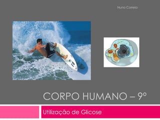 Nuno Correia




CORPO HUMANO – 9º
Utilização de Glicose
 