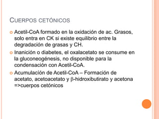 Metabolismo De Ácidos Grasos