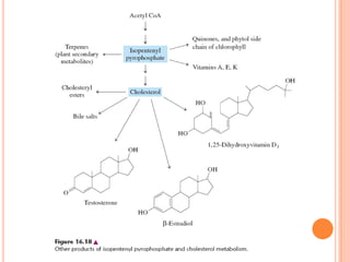 Metabolismo De Ácidos Grasos
