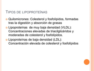 Metabolismo De Ácidos Grasos