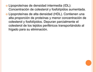 Metabolismo De Ácidos Grasos