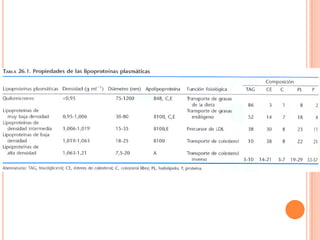 Metabolismo De Ácidos Grasos