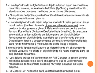 Metabolismo De Ácidos Grasos