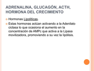 Metabolismo De Ácidos Grasos