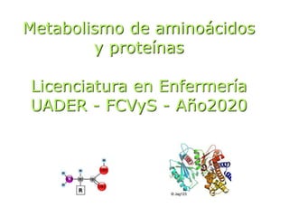 Metabolismo de aminoácidos
y proteínas
Licenciatura en Enfermería
UADER - FCVyS - Año2020
 