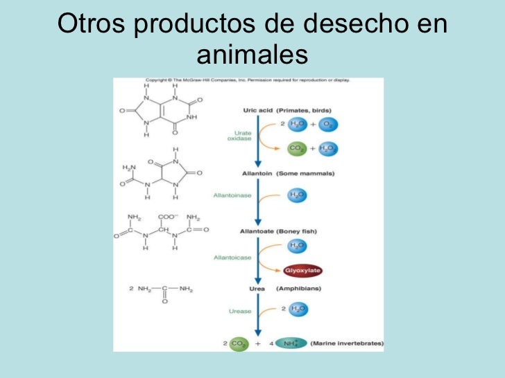 Advertencia: acelerador del metabolismo en farmacias