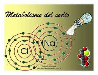 Metabolismo del sodio




               Carlos R. Cengarle
          www.lapaginadelmedico.com.ar