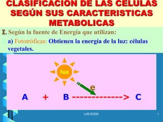 LUIS ROSSI 1
CLASIFICACION DE LAS CELULAS
SEGÚN SUS CARACTERISTICAS
METABOLICAS
I. Según la fuente de Energía que utilizan:
 a) Fototróficas: Obtienen la energía de la luz: células
vegetales.
e
A + B -------------> C
luz
 