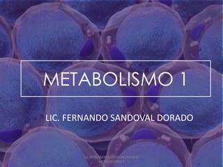 METABOLISMO 1
LIC. FERNANDO SANDOVAL DORADO
Lic. FERNANDO SANDOVAL DORADO
METABOLISMO 1
 