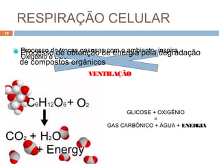 RESPIRAÇÃO CELULAR
12




     Processo de obtenção de energia pela inspira
     Processo de trocas gasosas com o ambiente, degradação
         Oxigênio e Libera CO2
         de compostos orgânicos
                             VENTILAÇÃO




                                        GLICOSE + OXIGÊNIO
                                                =
                                  GAS CARBÔNICO + ÁGUA + ENERGIA
 