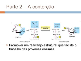 Parte 2 – A contorção




   Promover um rearranjo estrutural que facilite o
    trabalho das próximas enzimas
 