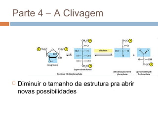 Parte 4 – A Clivagem




   Diminuir o tamanho da estrutura pra abrir
    novas possibilidades
 