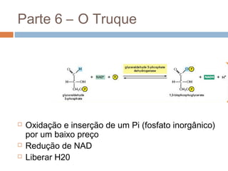 Parte 6 – O Truque




   Oxidação e inserção de um Pi (fosfato inorgânico)
    por um baixo preço
   Redução de NAD
   Liberar H20
 