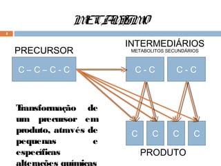 MECA I O
                    N SM
4


                          INTERMEDIÁRIOS
    PRECURSOR              METABOLITOS SECUNDÁRIOS



    C–C–C-C                 C-C           C-C



    Transformação de
    um precursor em
    produto, através de    C      C      C      C
    pequenas          e
    específicas                PRODUTO
    alterações químicas
 