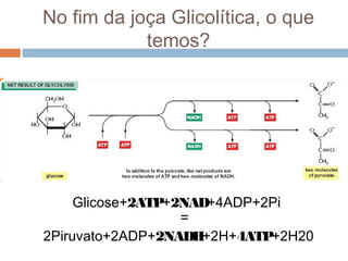 No fim da joça Glicolítica, o que
            temos?




     Glicose+2ATP+2NAD+4ADP+2Pi
                   =
2Piruvato+2ADP+2NADH+2H+4ATP+2H20
 