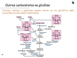 Outros carboidratos na glicólise
 Frutose, manose e galactose podem entrar na via glicolítica após
 conversão em derivados fosforilados




46
 