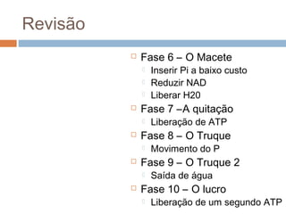 Revisão
             Fase 6 – O Macete
                 Inserir Pi a baixo custo
                 Reduzir NAD
                 Liberar H20
             Fase 7 –A quitação
                 Liberação de ATP
             Fase 8 – O Truque
                 Movimento do P
             Fase 9 – O Truque 2
                 Saída de água
             Fase 10 – O lucro
                 Liberação de um segundo ATP
 