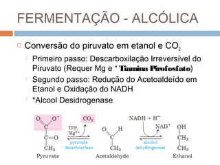 FERMENTAÇÃO - ALCÓLICA
   Conversão do piruvato em etanol e CO2
       Primeiro passo: Descarboxilação Irreversível do
        Piruvato (Requer Mg e * Tiamina Pirofosfato)
       Segundo passo: Redução do Acetoaldeído em
        Etanol e Oxidação do NADH
       *Alcool Desidrogenase
 