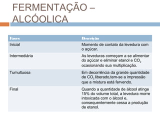 FERMENTAÇÃO –
 ALCÓOLICA
Fases           Descrição
Inicial         Momento de contato da levedura com
                o açúcar.
Intermediária   As leveduras começam a se alimentar
                do açúcar e eliminar etanol e CO2
                ocasionando sua multiplicação.
Tumultuosa      Em decorrência da grande quantidade
                de CO2 liberado,tem-se a impressão
                que a mistura está fervendo.
Final           Quando a quantidade de álcool atinge
                15% do volume total, a levedura morre
                intoxicada com o álcool e,
                consequentemente cessa a produção
                de etanol.
 