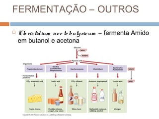 FERMENTAÇÃO – OUTROS

   Clo ris tid ium a c e to buty ric um – fermenta Amido
    em butanol e acetona
 