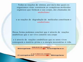 Todas as reações de síntese, por meio das quais os
organism os vivos constroem as complexas m oléculas
orgânicas que formam o seu corpo, são chamadas de
anabolism o
e as reações de degradação de moléculas constituem o
catabolismo.
Dessa forma podemos concluir que é através de reações
anabólicas que o ser vivo constrói seu corpo
e é através de reações catabólicas que os seres vivos
conseguem a matéria–prima e a energia necessárias à vida.
 
