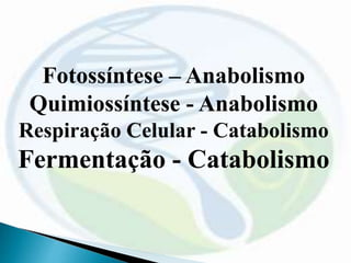 Fotossíntese – Anabolismo
Quimiossíntese - Anabolismo
Respiração Celular - Catabolismo
Fermentação - Catabolismo
 