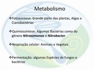 Metabolismo
Fotossíntese: Grande parte das plantas, Algas e
Cianobactérias
Quimiossíntese: Algumas Bactérias como do
gênero Nitrosomonas e Nitrobacter
Respiração celular: Animais e Vegetais
Fermentação: algumas Espécies de fungos e
bactérias
 