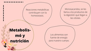 Metabolis-
mó y
nutrición
Reacciones metabólicas
contribuyen con la
homeostasis.
Los alimentos son
fuente de energía
para nuestro cuerpo.
Monosacaridos, se les
llama a los productos de
la digestión que llegan a
las celulas.
 