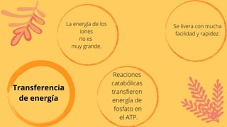 Transferencia
de energía
Reaciones
catabólicas
transfieren
energía de
fosfato en
el ATP.
La energía de los
iones
no es
muy grande.
Se livera con mucha
facilidad y rapidez.
 