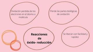 Reacciones
de
óxido- reducción.
Se liberan con facilidad y
rapidez
Pierde las partes biológicas
de oxidación.
Oxidación perdida de los
electrones en el átomo o
molécula
 