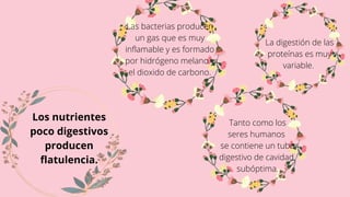 Los nutrientes
poco digestivos
producen
flatulencia.
Tanto como los
seres humanos
se contiene un tubo
digestivo de cavidad
subóptima.
La digestión de las
proteínas es muy
variable.
Las bacterias producen
un gas que es muy
inflamable y es formado
por hidrógeno melano y
el dioxido de carbono.
 
