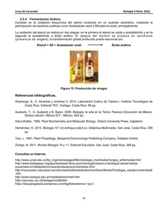 Liceo de Coronado Biología X Nivel, 2016.
14
2.3.3. Fermentación Acética.
Consiste en la oxidación bioquímica del etanol contenido en un sustrato alcohólico, mediante la
participación de bacterias acéticas como Acetobacter aceti y Micoderma aceti, principalmente.
La oxidación del etanol se realiza en dos etapas: en la primera el etanol se oxida a acetaldehído y en la
segunda el acetaldehído a ácido acético. El ataque del alcohol se produce en aerobiosis
(presencia de oxígeno), la transformación global producida puede resumirse así:
Etanol + O2 + Acetobacter aceti Ácido acético
Figura 15. Producción de vinagre
Referencias bibliográficas.
Alvarenga, S., C. Alvarado y Jiménez V. 2012. Laboratorio Cultivo de Tejidos I. Instituto Tecnológico de
Costa Rica. Editorial TEC. Cartago, Costa Rica. 99 pp.
Audesirk, T., G. Audesirk y B. Byers. 2008. Biología; la vida en la Tierra. Pearson Educación de México.
Octava edición. México D.F., México. 924 pp.
Hanz-Walter, 1999. Plant Biochemistry and Molecular Biology. Oxford University Press, Inglaterra
Hernández, K. 2013. Biología 10°. Un enfoque prácti co. Didáctica Multimedia. San José, Costa Rica. 298
pp.
Taiz, L. 1991. Plant Physiology. Benjamin/Communings Publishing Company. Estados Unidos
Zúñiga, N. 2011. Mundo Biología 10 y 11. Editorial Eduvisión. San José, Costa Rica. 368 pp.
Consultas en Internet.
http://www.unad.edu.co/fac_ingenieria/pages/Microbiologia_mutimedia/hongos_enfermedad.htm
http://www.biologiasur.org/apuntes/base-fisico-quimica/organizacion-y-fisiologia-celular/celula-
eucariotica-ii/metabolismo/caracteristicas/quimiosintesis.html
http://recursostic.educacion.es/ciencias/biosfera/web/alumno/2bachillerato/Fisiologia_celular/contenidos6
.htm
http://www.biologia.edu.ar/metabolismo/met4.htm
http://ciencias.ucv.cl/biologia/mod8/b8m
https://lasupergalaxia.wordpress.com/tag/fotosistema-1-ps-i/
 