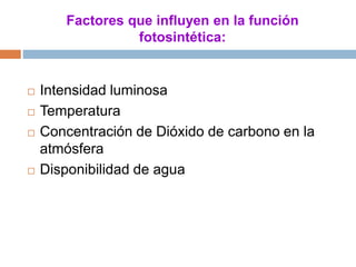 Factores que influyen en la función
fotosintética:
 Intensidad luminosa
 Temperatura
 Concentración de Dióxido de carbono en la
atmósfera
 Disponibilidad de agua
 