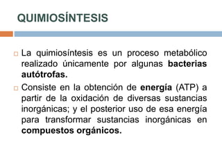 QUIMIOSÍNTESIS
 La quimiosíntesis es un proceso metabólico
realizado únicamente por algunas bacterias
autótrofas.
 Consiste en la obtención de energía (ATP) a
partir de la oxidación de diversas sustancias
inorgánicas; y el posterior uso de esa energía
para transformar sustancias inorgánicas en
compuestos orgánicos.
 