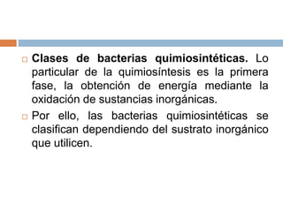  Clases de bacterias quimiosintéticas. Lo
particular de la quimiosíntesis es la primera
fase, la obtención de energía mediante la
oxidación de sustancias inorgánicas.
 Por ello, las bacterias quimiosintéticas se
clasifican dependiendo del sustrato inorgánico
que utilicen.
 