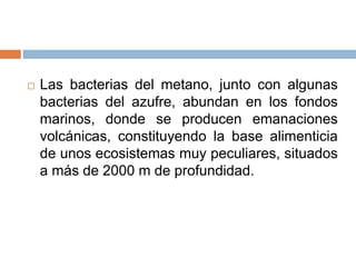  Las bacterias del metano, junto con algunas
bacterias del azufre, abundan en los fondos
marinos, donde se producen emanaciones
volcánicas, constituyendo la base alimenticia
de unos ecosistemas muy peculiares, situados
a más de 2000 m de profundidad.
 