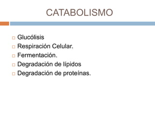 CATABOLISMO
 Glucólisis
 Respiración Celular.
 Fermentación.
 Degradación de lípidos
 Degradación de proteínas.
 